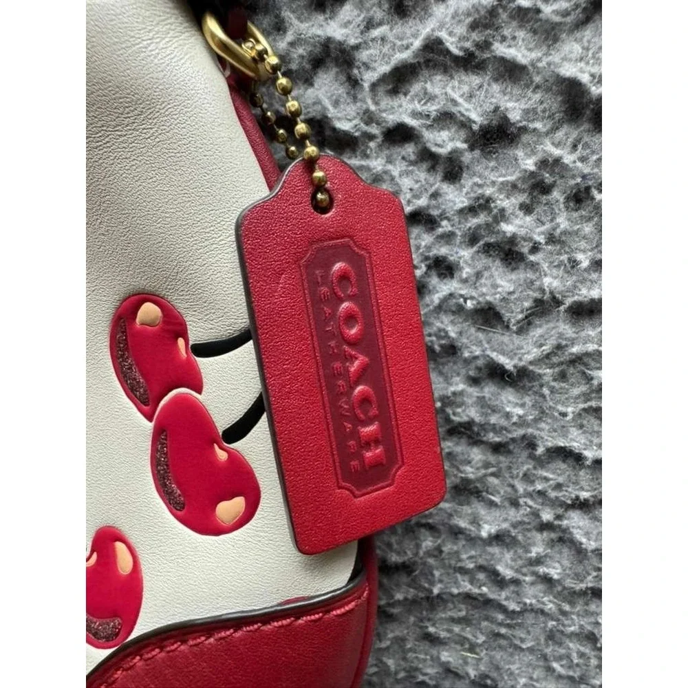 Authentic Coach Women's Leather Hamptons Hobo Bag With Cherry Print J2481-CY936